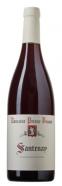 Domaine Prieur-Brunet - Santenay 2022 (750)